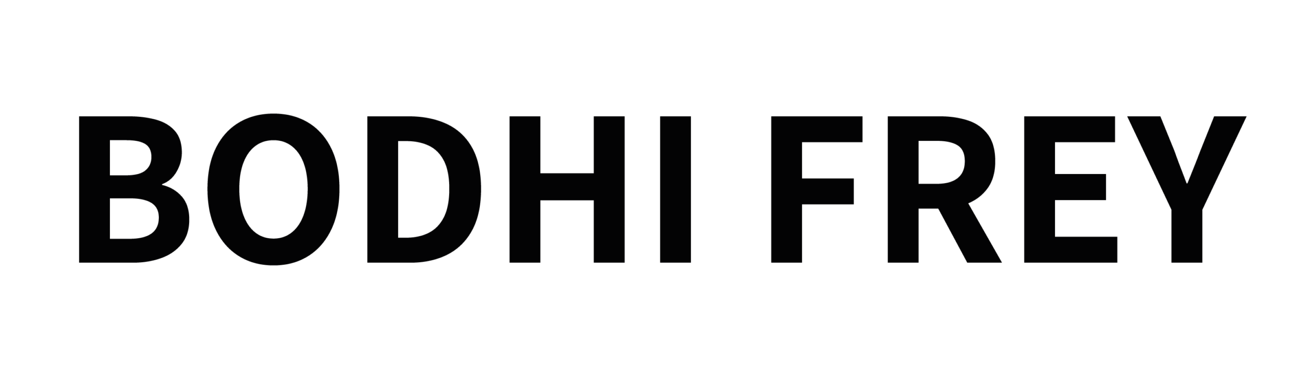 Bodhi Frey | Audio visueel specialist